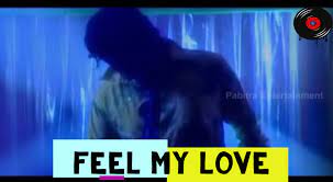 Feel My Love Sambalpuri Song Lyrics